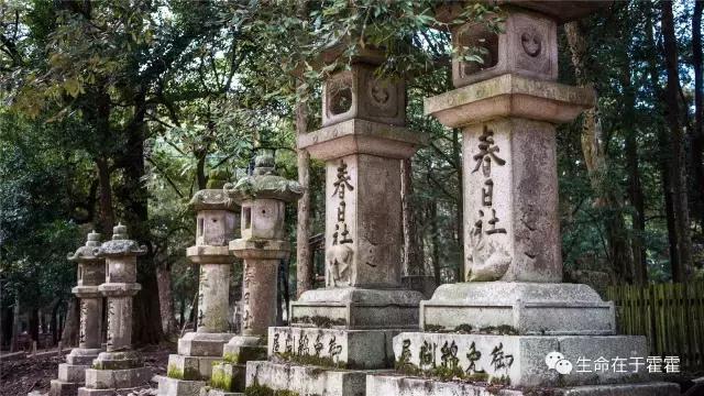 拉面 · 自动贩售机 · 雪｜云之彼岸的日本欢脱之旅