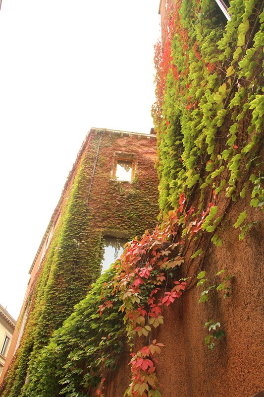 威尼斯景点彩虹岛,威尼斯有哪些美丽的岛屿