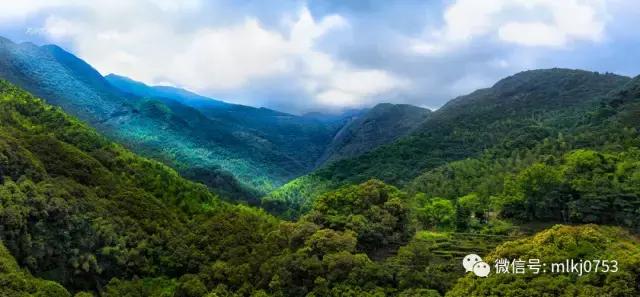 以二十四节气之名，诠释梅州之美