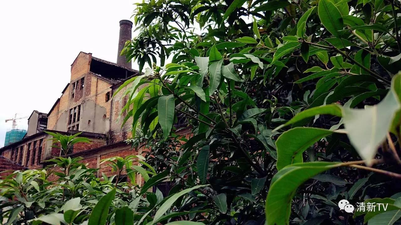 清远旧糖厂创意园,清远红砖厂创意产业园