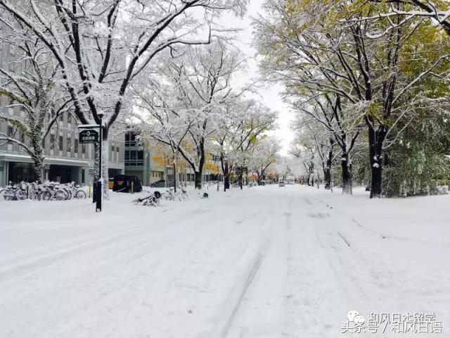 颜值与实力兼备高校,北大为何这么强大