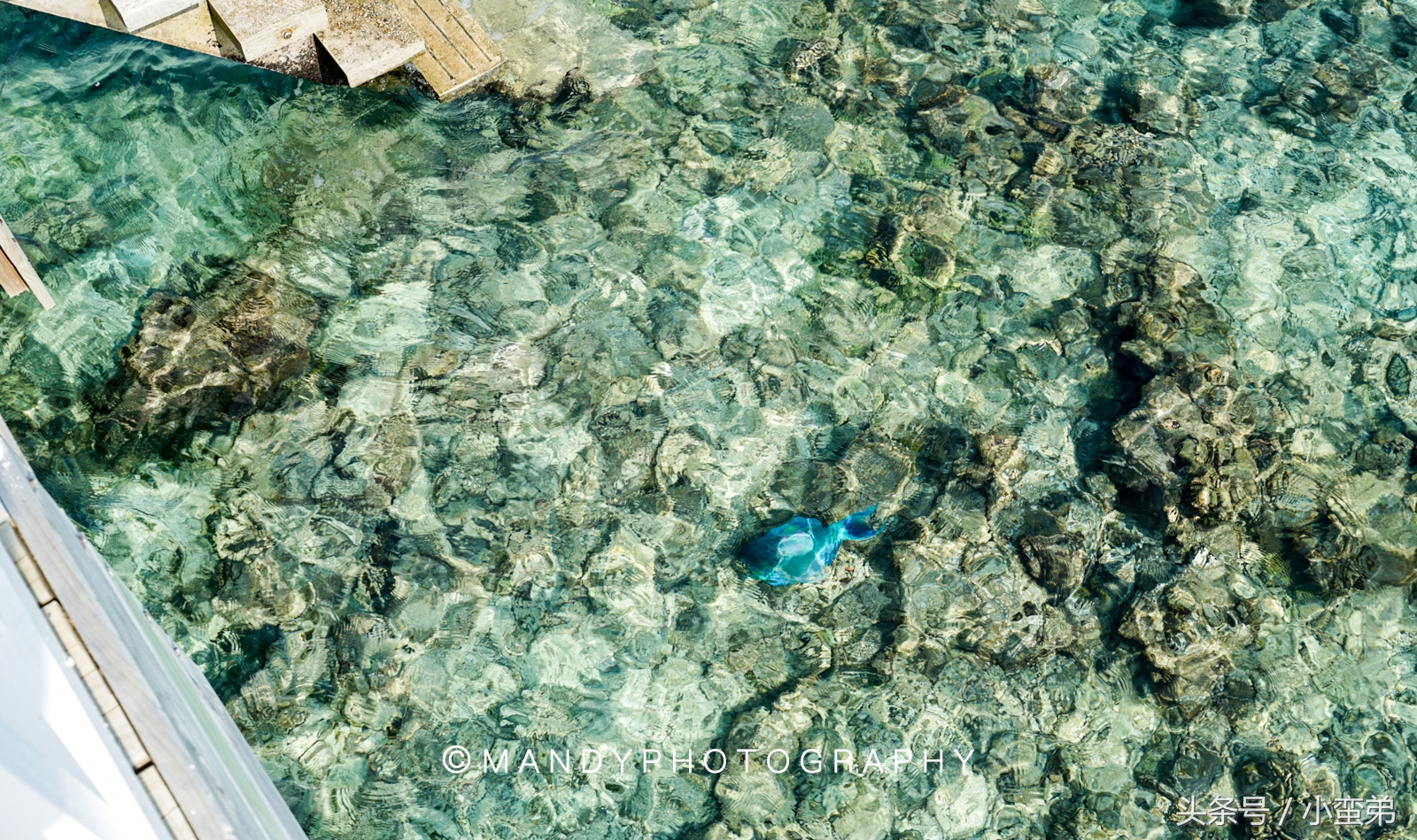 马尔代夫值得去多次吗,马尔代夫有多重要