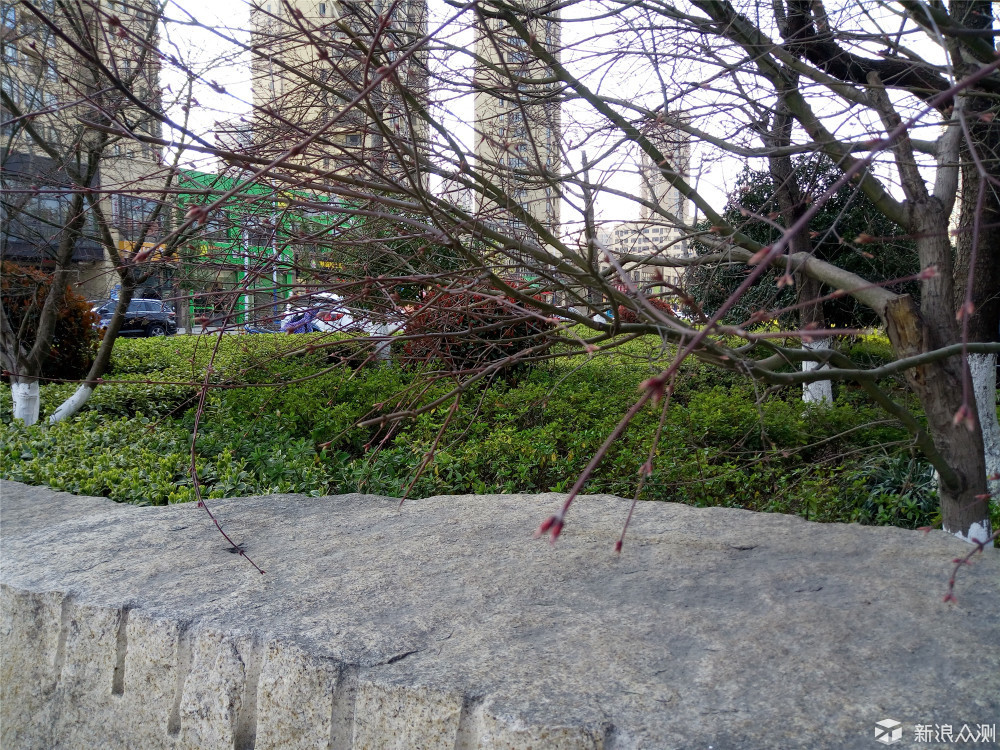 竟然“金玉其外，____”，十天体验揭开魅蓝5s真相！