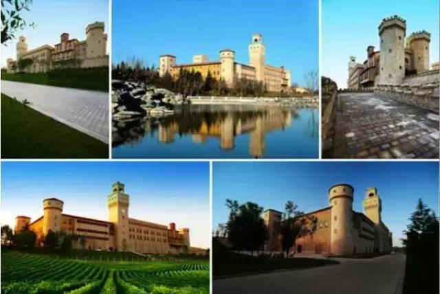 未来很火的项目,未来即将要火爆的项目