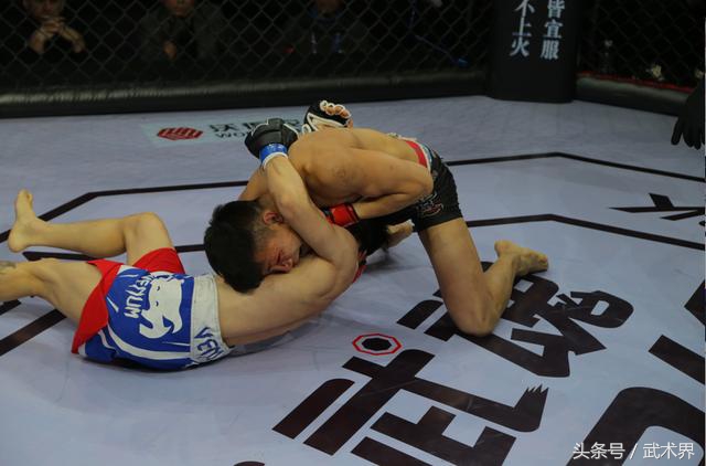 武作家说地躺拳5：少林四门-长拳、通臂、罗汉、螳螂