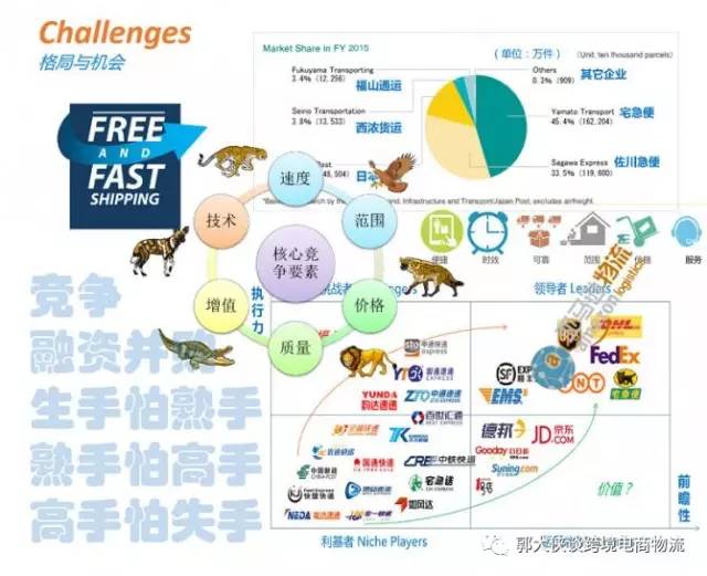 跨境电商与国际物流专业,跨境电商与国际物流