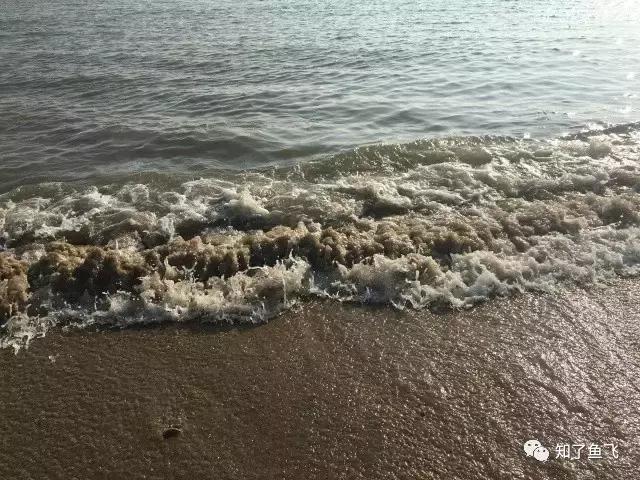 一位美丽学姐的暖心游记｜初见，厦门