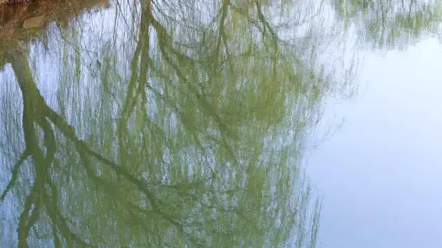 铜陵市顺安镇在铜陵怎么样,铜陵顺安镇