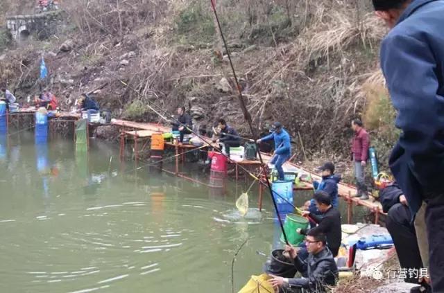 湖南钓鱼比赛湘窖杯冠军,2019ccf湖南站钓鱼比赛