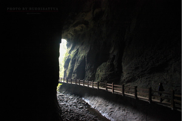 恩施森林旅游,恩施咸丰坪坝营旅游景点