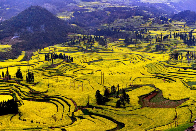 春天旅游都去什么地方旅游,春天适合去什么地方旅游最好玩