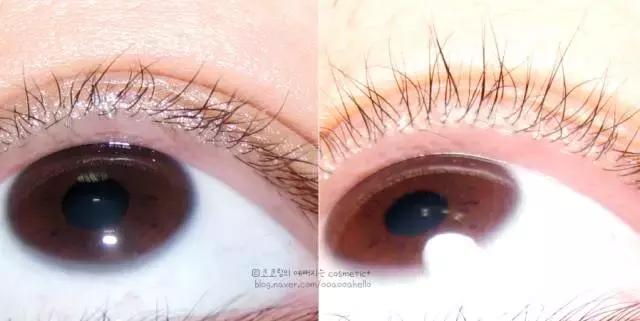 canmake推荐哪只,canmake入门选哪款