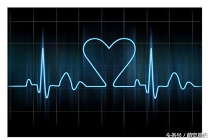 宠物医生科普狗狗,宠物医院给狗狗检查哪些