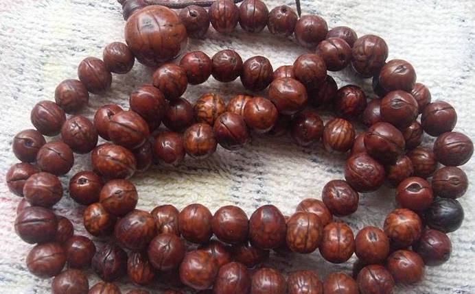 尼泊尔凤眼菩提0.8-0.9顶级,买金刚菩提子有哪些坑