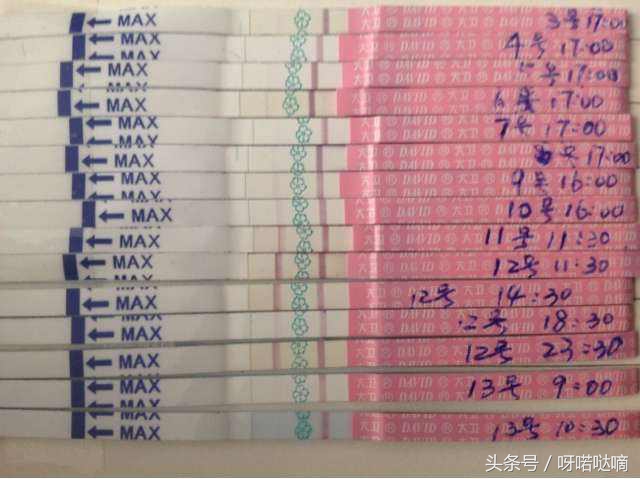 卵子排完以后怎么知道怀没怀孕,卵子排出了用试纸测还显示吗