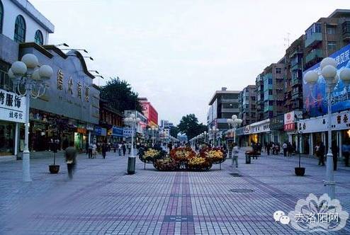 洛阳第一届牡丹花会是哪一年,洛阳牡丹花会营业时间