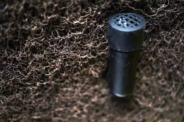 水族箱草缸开缸教程新手入门,雨林缸开缸多久植物才会稳定