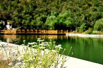 定个小目标100天,定个小目标完整版