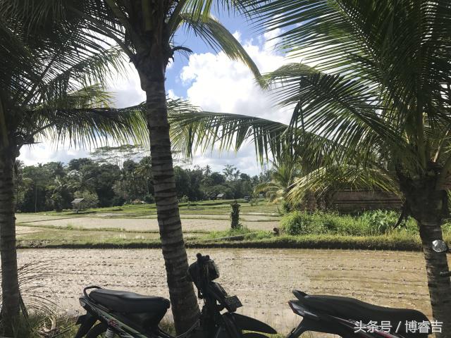 体验过你从未体验过的情感,体验你没体验过的人生