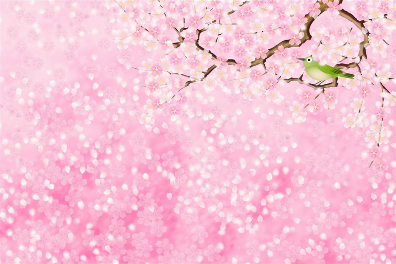 电影三生三世十里桃花手机壳,十里桃花手机壳