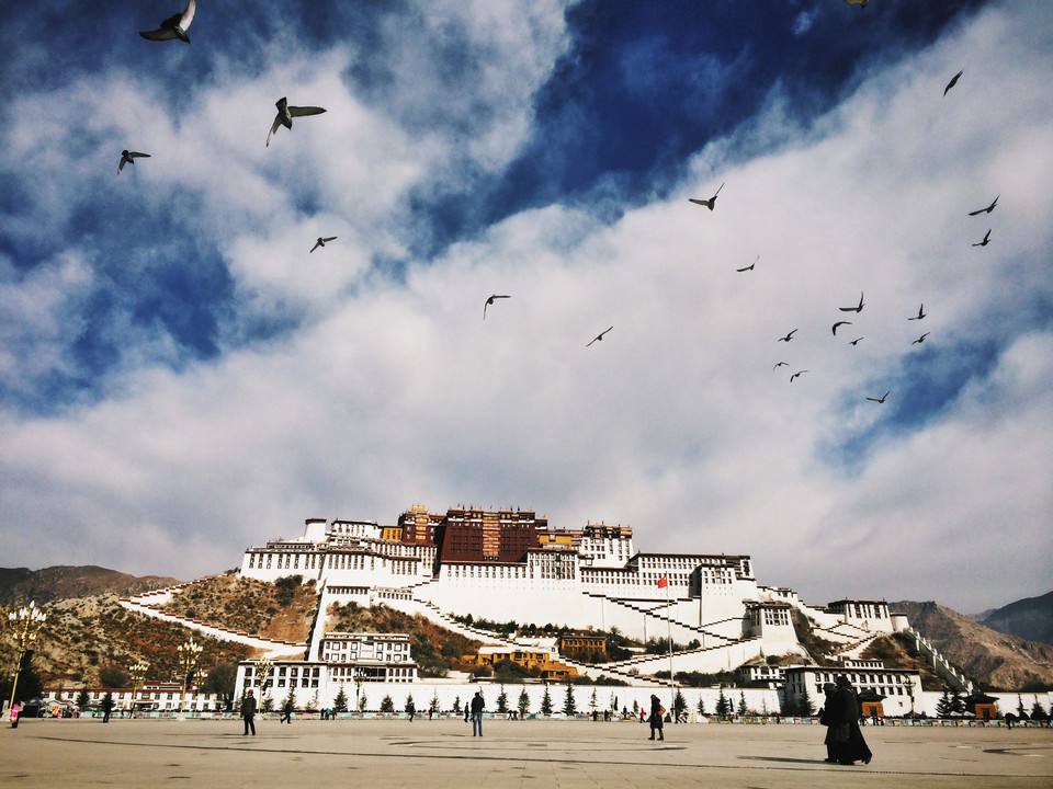 电影三生三世十里桃花手机壳,十里桃花手机壳