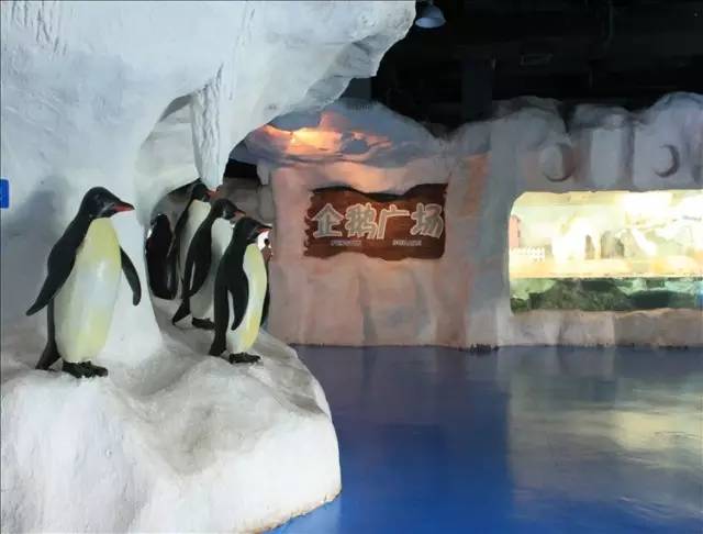 杭州极地海洋游玩图,杭州极地海洋世界旅游攻略