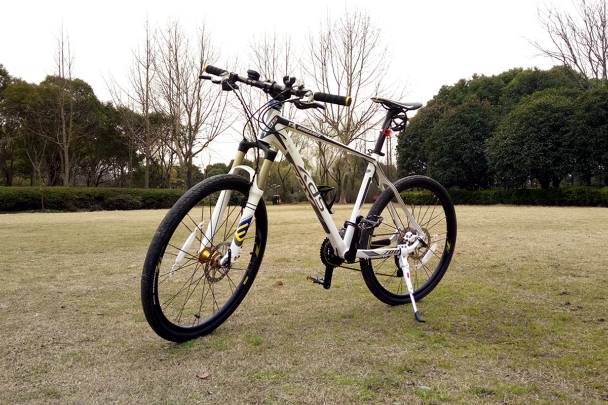 让x（叉）d（得）s（爽）带我飞简评喜德盛传奇700