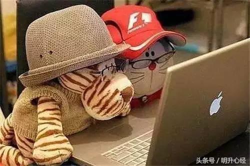 这三样菜一定要多吃,十大护眼蔬菜排名