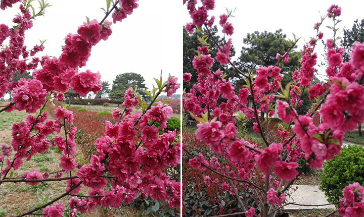 精选:武汉周边小众旅行地,田园生活美成诗!