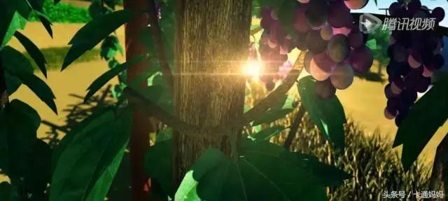 昆虫的微观小世界,微观世界每只昆虫都有它的故事