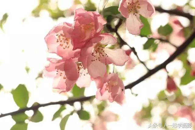 为什么说：俗照片走眼，好照片走脑？