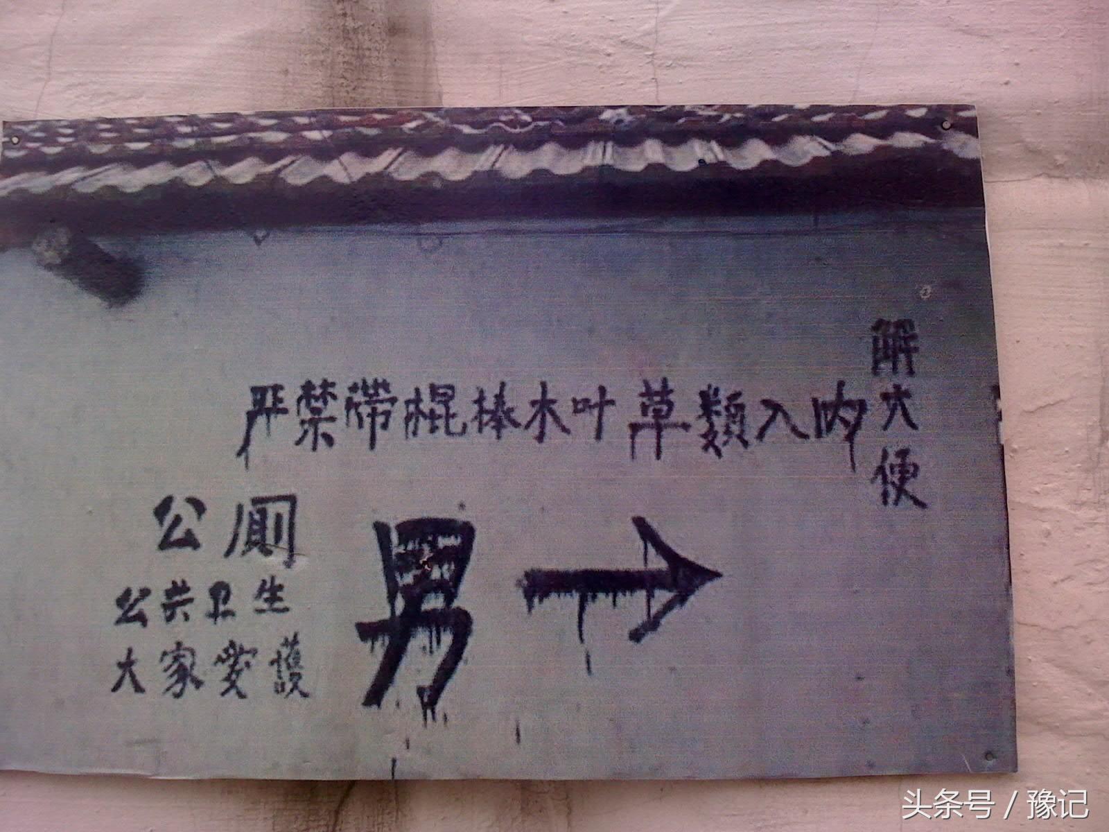 一间农村厕所，咋就能吓走一批城市娃？