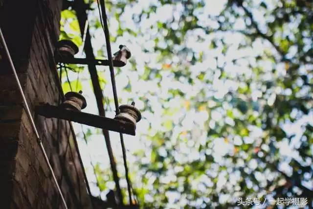 为什么说：俗照片走眼，好照片走脑？