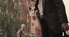 打算养狗需要准备什么,南京正规给狗打疫苗的地方