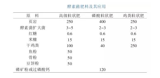 揭开酵素的神秘面纱,橙子酵素是什么