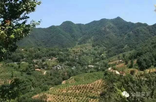 栾川游览图,栾川风景航拍