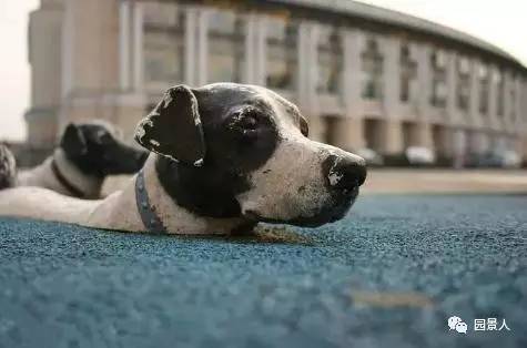 雕塑创意景观墙,景观抽象创意雕塑工艺