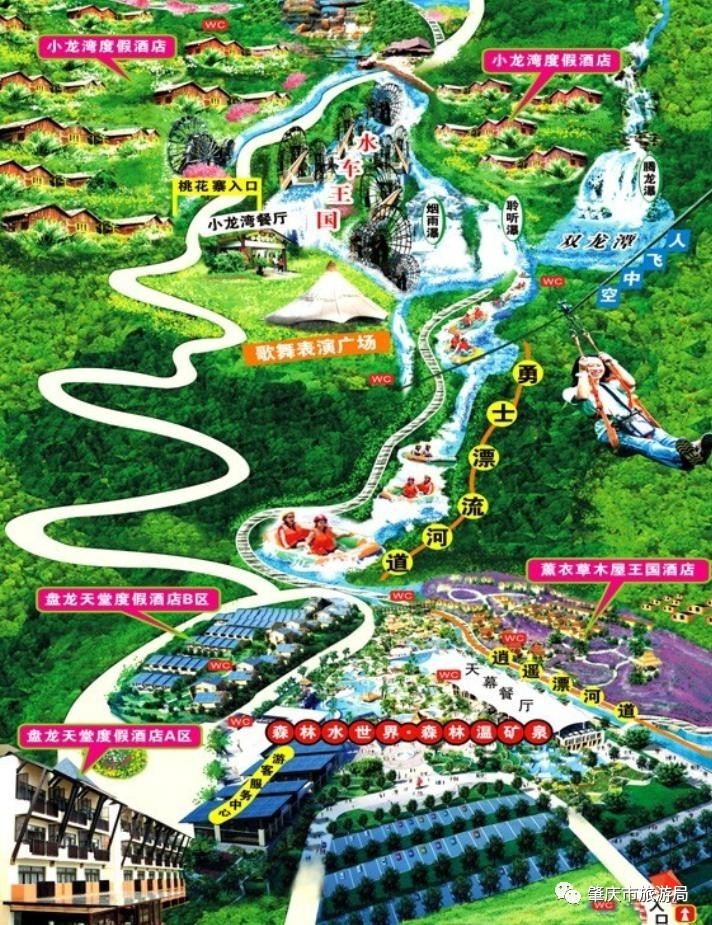 广东哪里的花海最美五月,肇庆德庆盘龙峡薰衣草