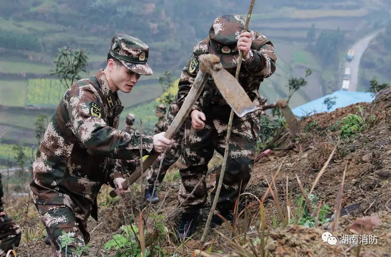 「新闻多看点」｜芳菲三月植树忙消防官兵助力森林城市创建；湘潭县消防大队打响“3.15”消防产品整治前哨战……