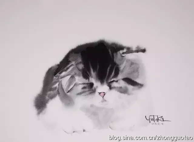 日本水墨画猫,国画猫水墨画