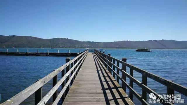 麻麻，为什么不能带我去非洲！