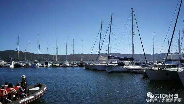 麻麻，为什么不能带我去非洲！