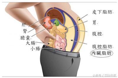 体脂率18%但是内脏脂肪超标,内脏脂肪超标可以喝黑咖啡吗