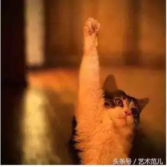 国足赢了教练反应,国足赢了教练的反应