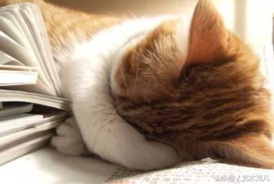 国足赢了教练反应,国足赢了教练的反应