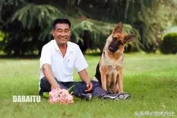 请耐心看完：一只家狗的自述