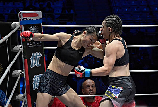 巴西柔术综合格斗,巴西柔术与综合格斗