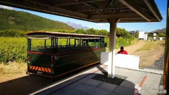 麻麻，为什么不能带我去非洲！