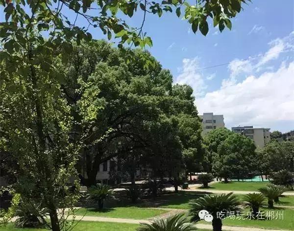 郴州一中全部排名,郴州新一中好吗