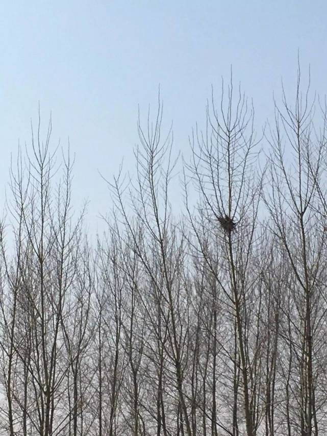 天源吉布世温泉水乐园,鞍山天源吉布世温泉一日游